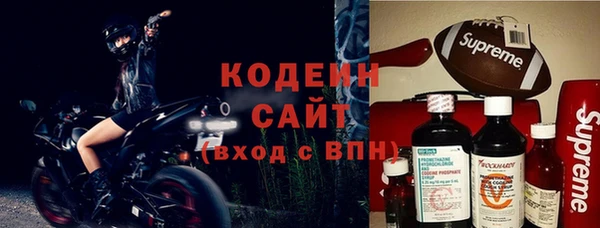 PSILOCYBIN Корсаков