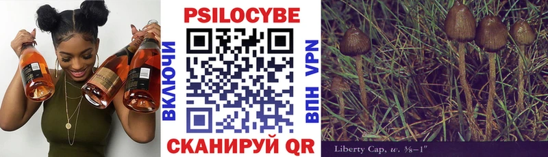 Галлюциногенные грибы мицелий Усолье